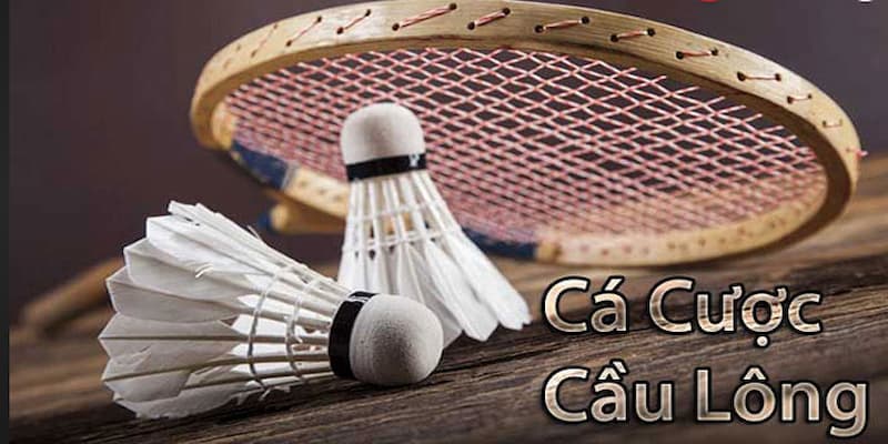 Cá Cược Cầu Lông Bí quyết từ cao thủ khi chơi Cá Cược Cầu Lông