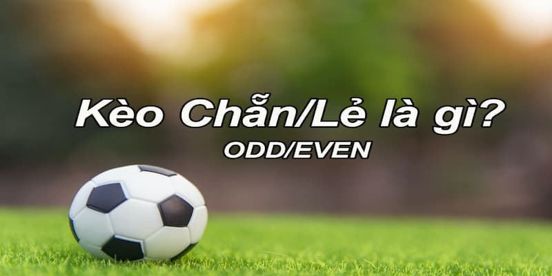 Kèo chẵn lẻ Các chiến lược thông minh khi chơi kèo chẵn lẻ